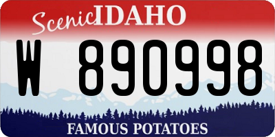 ID license plate W890998