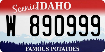 ID license plate W890999