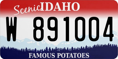 ID license plate W891004