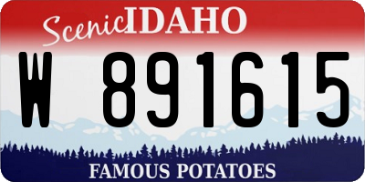 ID license plate W891615