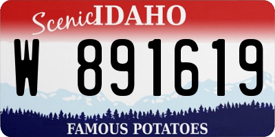ID license plate W891619