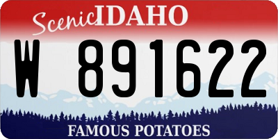 ID license plate W891622