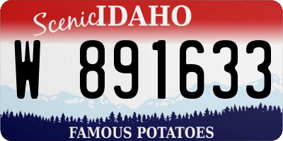 ID license plate W891633