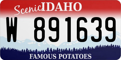ID license plate W891639