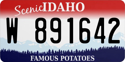 ID license plate W891642