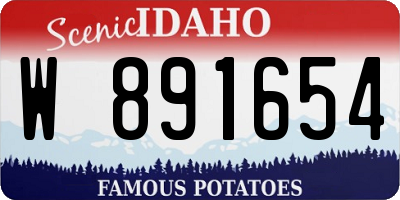 ID license plate W891654