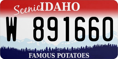ID license plate W891660