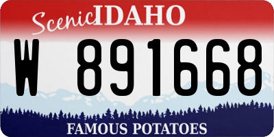 ID license plate W891668