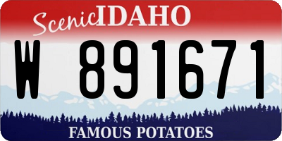 ID license plate W891671