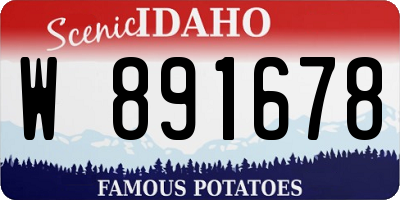ID license plate W891678