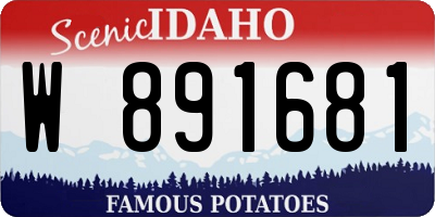 ID license plate W891681