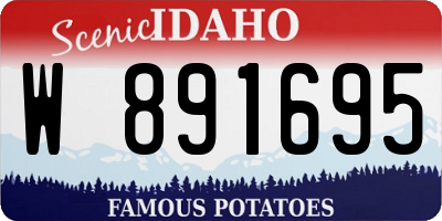 ID license plate W891695