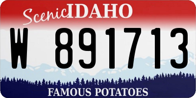 ID license plate W891713