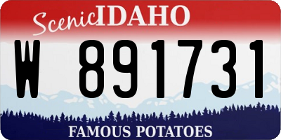 ID license plate W891731