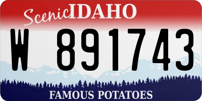 ID license plate W891743