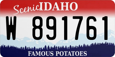 ID license plate W891761