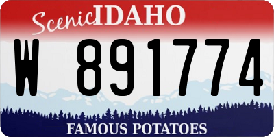 ID license plate W891774