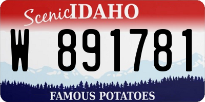 ID license plate W891781