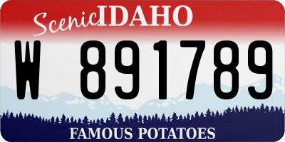 ID license plate W891789