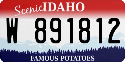 ID license plate W891812