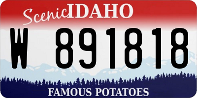 ID license plate W891818