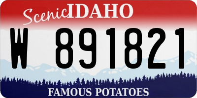 ID license plate W891821
