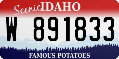 ID license plate W891833