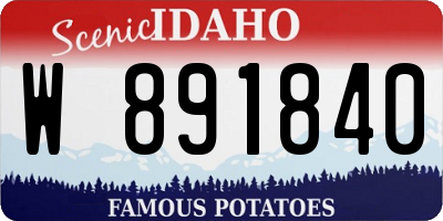 ID license plate W891840