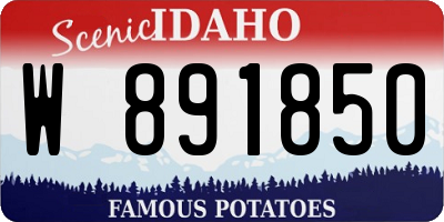 ID license plate W891850
