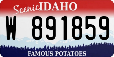 ID license plate W891859