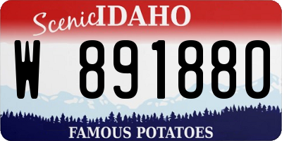 ID license plate W891880