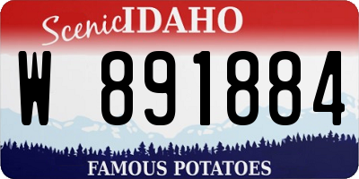 ID license plate W891884