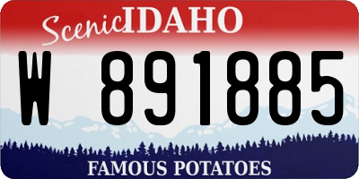 ID license plate W891885