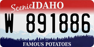 ID license plate W891886