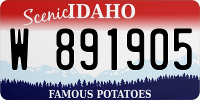 ID license plate W891905