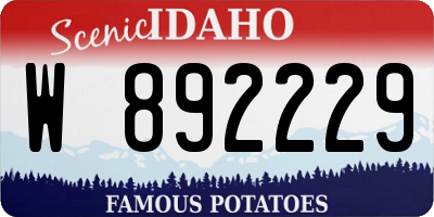 ID license plate W892229