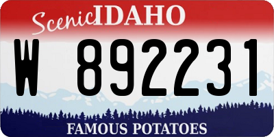 ID license plate W892231