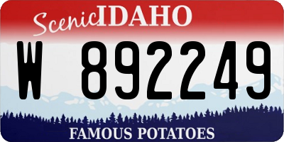 ID license plate W892249
