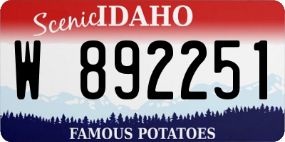 ID license plate W892251