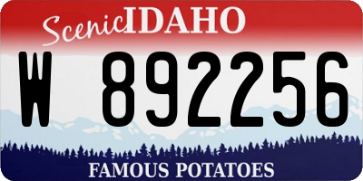 ID license plate W892256