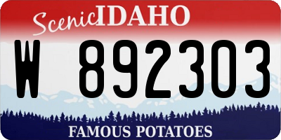 ID license plate W892303