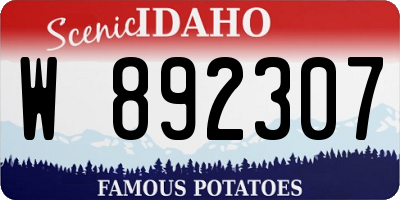 ID license plate W892307