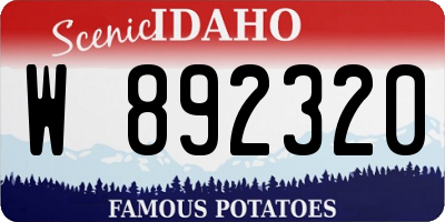 ID license plate W892320