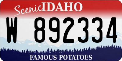 ID license plate W892334