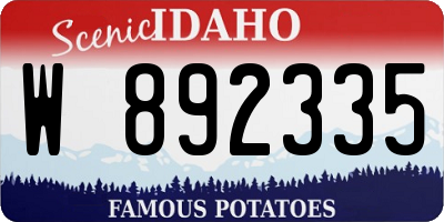 ID license plate W892335