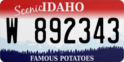ID license plate W892343