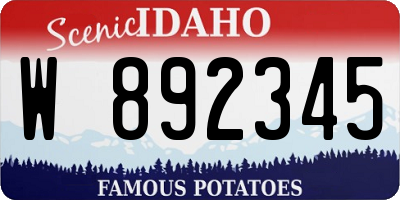 ID license plate W892345