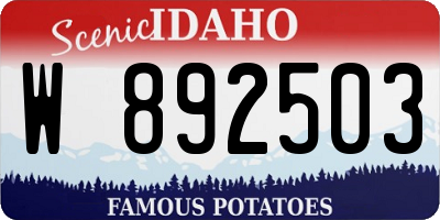 ID license plate W892503