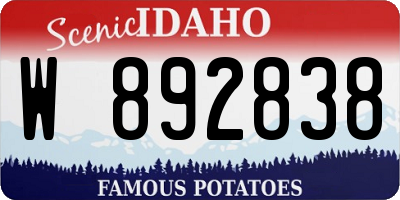 ID license plate W892838