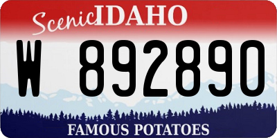 ID license plate W892890